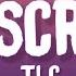 TLC No Scrubs Lyrics