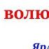 2 Как узнать волю Божию Ярл Пейсти