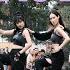 KPOP IN PUBLIC SYDNEY ONE TAKE 퍼플키스 PURPLE KISS Love Is Dead DANCE COVER BY NUEE Dance