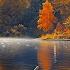 Relaxing Autumn Jazz By The Lake Cozy Coffee Break Vibes For Productive Study Peaceful Moments