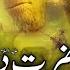 How Did The People Of Hazrat Dawood As Become Monkeys Hazrat Dawood As Ka Waqia Qasasulislam