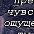 Королёк птичка певчая Решад Нури Гюнтекин Что почитать Обзор книг Цитаты