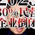 翟山鹰 2025年80 民营企业倒闭 翟山鹰 翟山鹰解密 翟山鹰揭秘