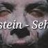 Rammstein Sehnsucht Lyrics