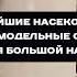 Мозг микронасекомых революция в нейробиологии Татьяна Черниговская и Алексей Полилов