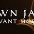 Shawn James I Want More Lyric Video