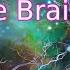 Increase Brain Power Enhance Intelligence IQ To Improve Study Music Binaural Beats