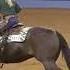 Amateur Ranch Riding 2024 AQHA World Championship Show