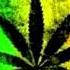 Reggae Mix 2013 For Ganja Smoker