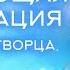 ИСЦЕЛЯЮЩАЯ МЕДИТАЦИЯ В ПОТОКЕ ТВОРЦА Октябрь 2022 Михаил Агеев