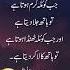 Hazrat Ali K Faraman Islamicquotes Status