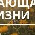 Молитва Непрестающая сила жизни Исцеление Пастор Андрей Яковишин Nebesnaya Civilizacia