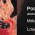 Metallica Poor Twisted Me Instrumental Version