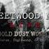 Fleetwood Mac Gold Dust Woman Live At The Forum Inglewood CA 8 29 77