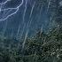 Rain Forest Thunder Rain Sleep Sounds White Noise 10 Hours