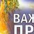 Тамара Шмидт Крайон Бог хочет видеть нас Счастливыми Важнейшее Правило Счастья Аудиокнига