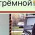 она отшила стёмного парня в школе но спустя годы он похорошел а девушка кусала себе локти