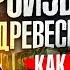 Древесный уголь Бизнес в деревне Производство древесного угля с нуля