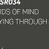 Birds Of Mind Flying Through The Souls Just Emma Remix Underyourskin Justemma Downtempo