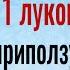 Уберите 1 луковицу в морозилку и ваши враги будут бессильны Мощный заговор от врагов