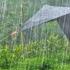 Couple Camping In Very Heavy Rain Relaxing Rain In Our Not Solo Camping