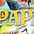 PAPA Ki Pari Official Bodo Music Video 2024 Bipulbasumatary Joysingbasumatary Maharsabaro4334