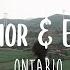 Novo Amor Ed Tullett Ontario Lyrics