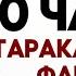 Таракан Сергей Флексит под ТАТАРСТАН Супер Гуд 10 ЧАСОВ