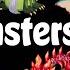 All Monsters Release Dates In 2024 My Singing Monsters