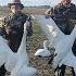 2018 Washington County NC Swan Hunt