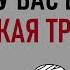 Как детская травма влияет на вашу жизнь Psych2go на русском