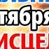 21 октября ПРОСИ СЕГОДНЯ ИСЦЕЛЯЕТ ОТ ВСЕХ БОЛЕЗНЕЙ Молитва Богородице Целительница Православие