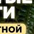 Всего 2 простых шага которые улучшат вашу жизнь