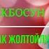 Гүлназ Бекбосун кызы Ак жолтойлуу келин бол