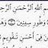 СУРА АТ ТИН ЧТЕНИЕ СВЯЩЕННОГО КОРАНА АБУ ИМРАН