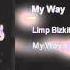 Limp Bizkit My Way Clean