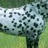 The Leopard Appaloosa Horse How To Get It Rdr2 Horses