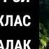 Сура Аль Фатиха АЯТ АЛЬ КУРСИ СУРА АЛЬ ихлас сура Аль фалак сура АН нас