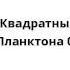 Спанч Боб Квадратные Штаны Армия Планктона 03 18 01