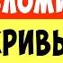 Отпуск в деревне у тещи История из жизни