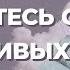 Навязчивые мысли в голове Как избавиться от навязчивых мыслей Медитация от навязчивых мыслей