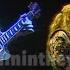 Allman Brothers In Memory Of Elizabeth Reed Ramblin Man 1991 Reelin In The Years Archive