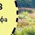 21 Невероятно красивые цветники Пита Удольфа в Германии Сравниваем злаки Что цветет осенью