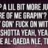 NLE Choppa Picture Me Grapin Lyrics