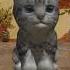 Cute Pocket Cat 3D Трейлер