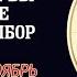 СТРЕЛЕЦ В НОЯБРЕ ВЫ ВСТАНЕТЕ ПЕРЕД ВАЖНЫМ ВЫБОРОМ ГОРОСКОП НА НОЯБРЬ 2024 АСТРОЛОГИЯ С КАТРИН Ф