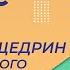 М Е Салтыков Щедрин История одного города Урок 8 Литература 8 класс