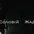 Жадан і Собаки Христина Соловій Серце