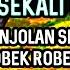 GANTANGAN DI BIKIN MERINDING SEKALI NAFAS MASTERAN BURUNG KASAR ISIAN NGEROL TAJAM MATERI EDAN