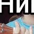 нексюша Фенибут Cover Ukulele